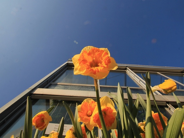 Fruehling   034.jpg